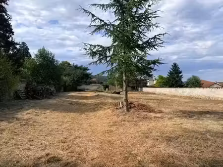 vente terrain 600 m² à bas-en-basset (43210)  67 000 €
