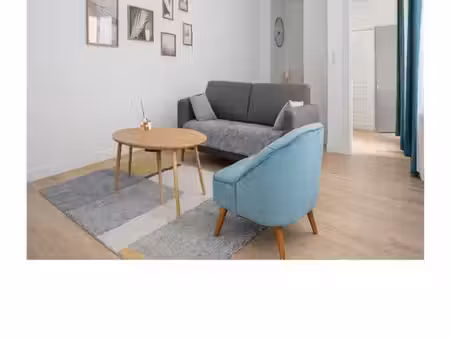 t3 entièrement rénové  meublé et décoré – rue masséna  lille hypercentre