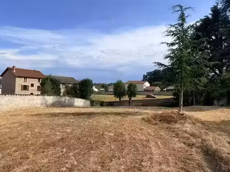 vente terrain 755 m² à bas-en-basset (43210)  73 000 €