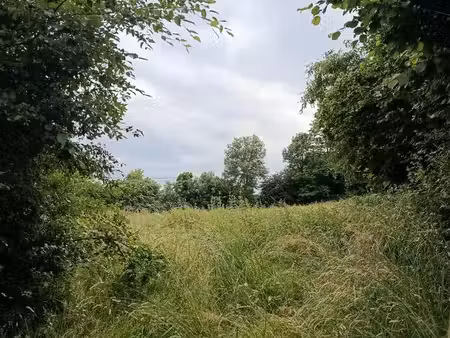 terrain 4000m2
