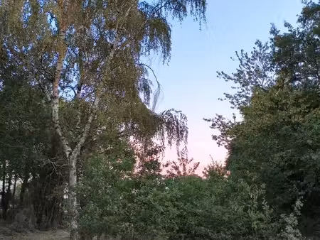 terrain d'environ 78 ares avec présence d'une maison en très mauvais état
