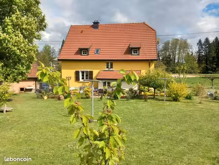 maison lumineuse et agréable pré pour chevaux
