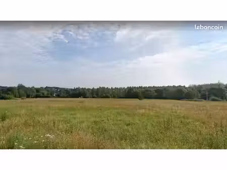 terrain à bâtir de 1274 m² à saint-cosme-en-vairais (72)