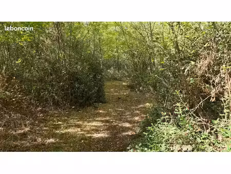 terrain 22 165 m² capvern les bains
