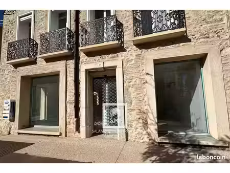local 108 m² salses-le-château