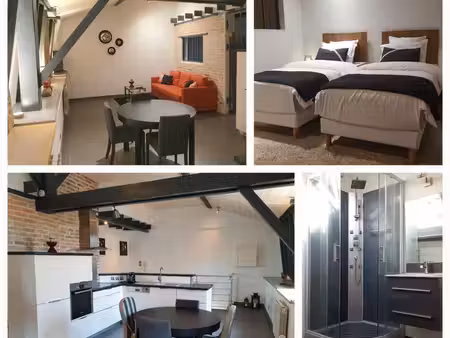 magnifique loft cv de paray-le-monial