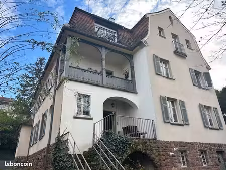 immeuble 360 m² mulhouse