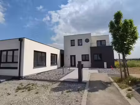 schnersheim - local professionnel de 2020 - 70 31 m2