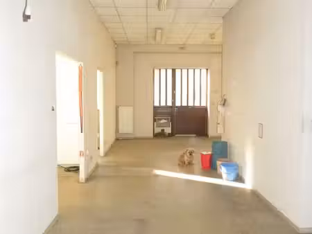 local professionnel  bureaux  schiltigheim