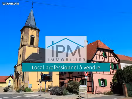 local commercial 263 m² fessenheim