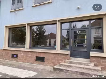 local commercial / bureaux 50 m² climatisé – hatten (67) – emplacement n°1