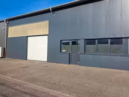 local professionnel 230 m2 pour une activité artisanale  commerciale ou de stockage