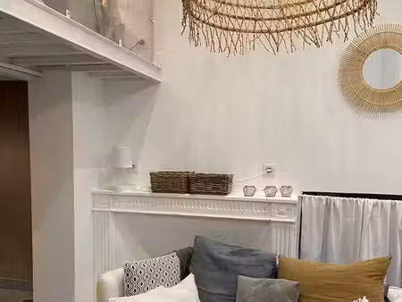 loft meublé lille