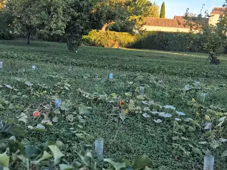 vente terrain à batir