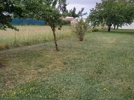 terrain amure 1563 m²
