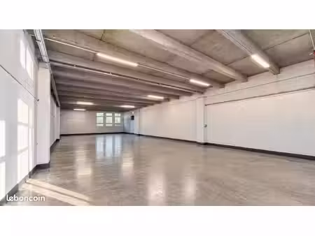local d'activité 300 m²