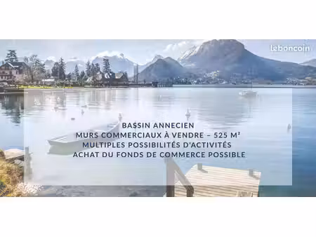 murs commerciaux 525 m² annecy