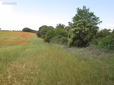 a vendre terrain agricole