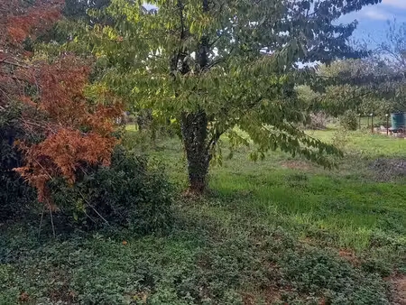 terrain constructible