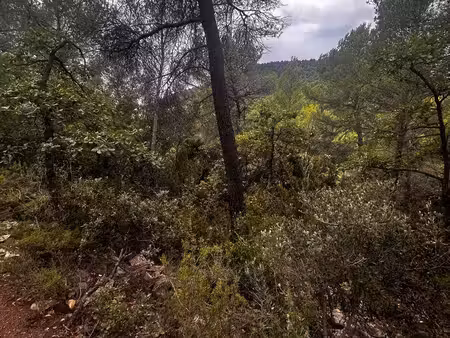 terrain à vendre 2080 mètre
