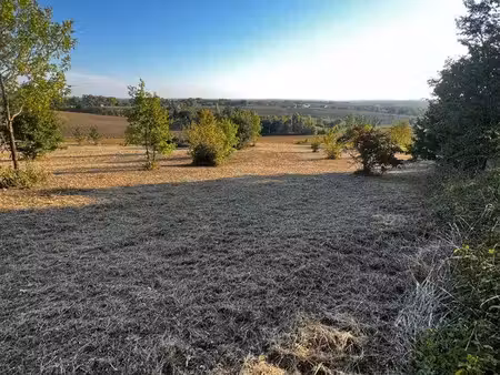 terrains viabilisés