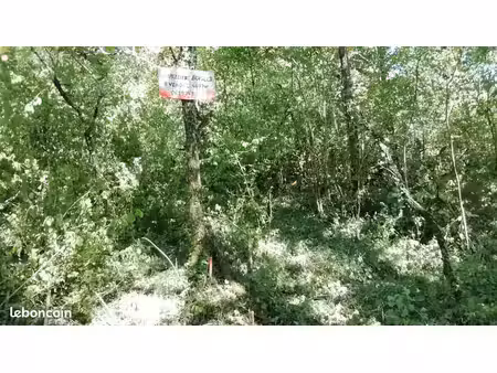 terrains boisés