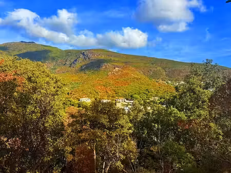 vente terrain 867 m² à santa-maria-di-lota (20200)  85 000 €