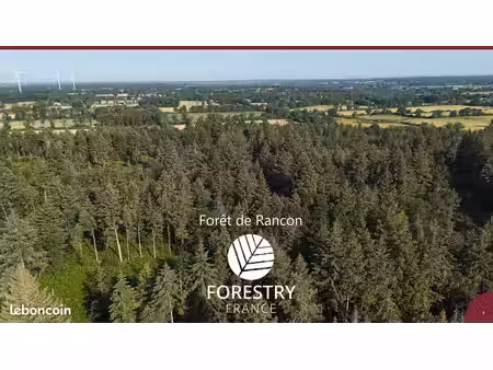 propriété forestière de 135 ha avec étang – haute-vienne (87)