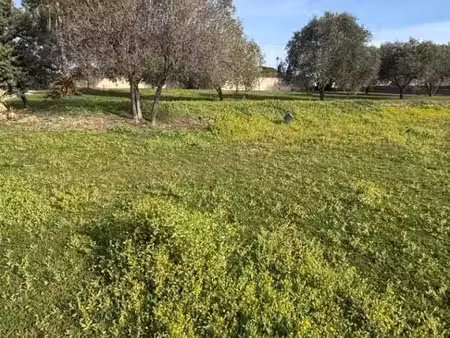 terrain 631 m² roquebrune sur argens