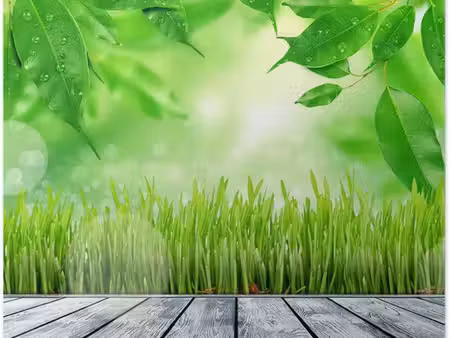 terrain 700 m² bois l eveque