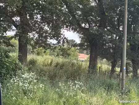 recherche petit terrain agricole