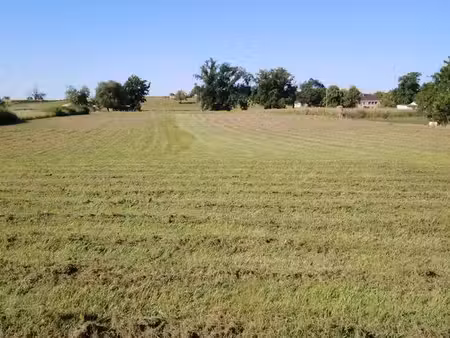 terrain constructible à diou (03)