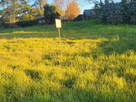 terrain constructible de 1000 m2. avermes (03)