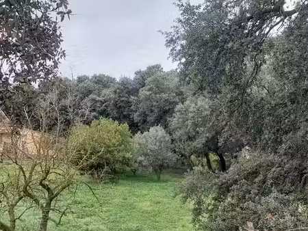 vente terrain 400 m² à plan-d'orgon (13750)  145 000 €