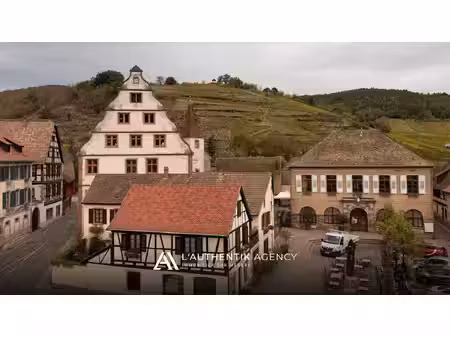andlau : la maison alsacienne du centre-village  libre et prête