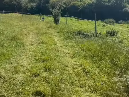 terrain à pleumeur-bodou (22560)