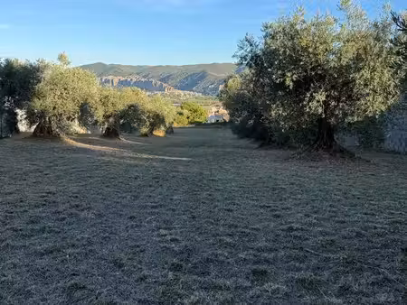 magnifique terrain constructible viabilisé