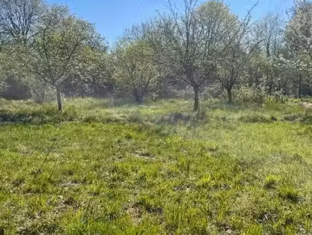 terrain 400 m² monnerville