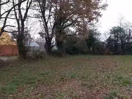 vente terrain 453 m² à vaux-sur-mer (17640)  319 000 €