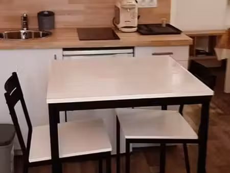 studio 19m2 rénové quartier danton - ttc