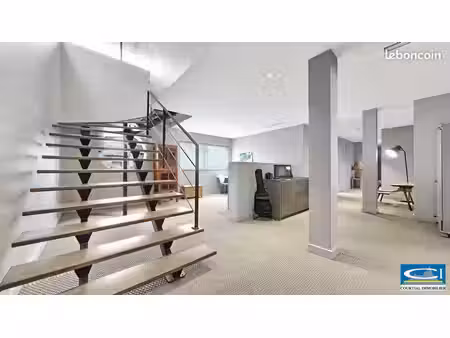 loft 5 pièces 321 m²