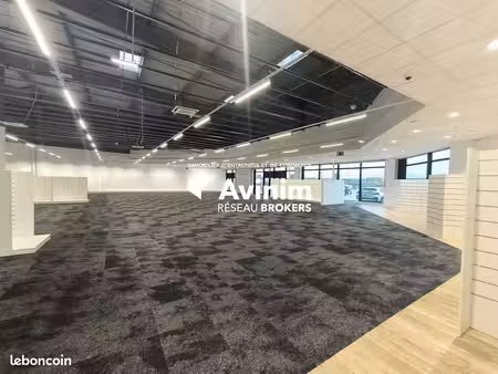 local commercial 1115 m² villebon-sur-yvette