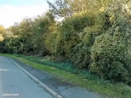 deux parcelles de bois