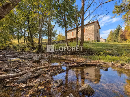 domaine de caractère  2 habitations  une écurie et grange avec plus d'un hectare de terrai