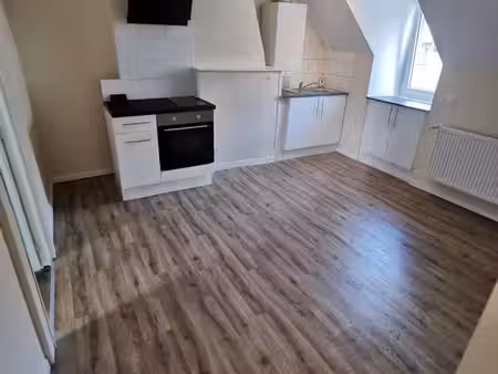 appartement t3 non meublé  jardin  centre ville