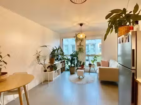 location t2 meublé rivetoile strasbourg 870 euros cc