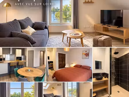 duplex premium meublé avec vue loire - orléans