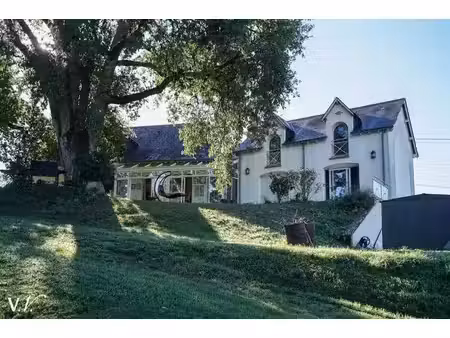maison de luxe à vendre à azay-sur-cher
