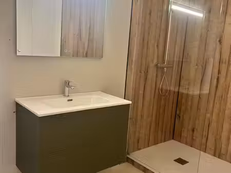 ? t3-54m2 appartement refait à neuf et meublé