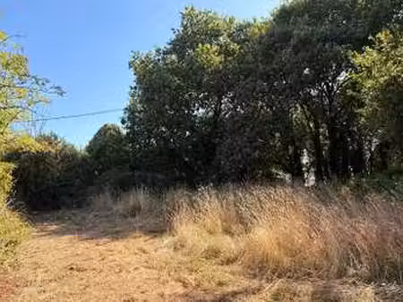 vente terrain à herbignac (44410) : à vendre / 450m² herbignac